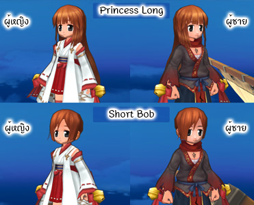 New Year Introduction Letter